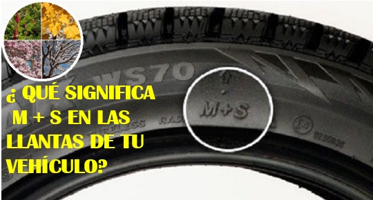 5 problemas que todos tienen con cuanto dura la carrera de psicologia en la unam: cómo resolverlos